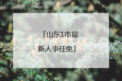山东1市最新人事任免