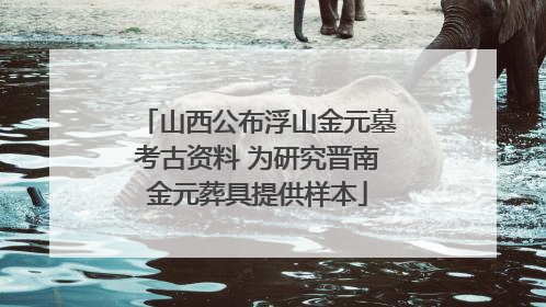 山西公布浮山金元墓考古资料 为研究晋南金元葬具提供样本