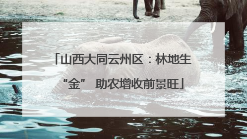 山西大同云州区：林地生“金” 助农增收前景旺