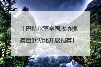 巴特尔率全国政协视察团赴湖北开展视察