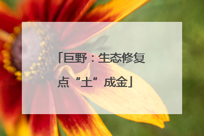 巨野：生态修复点“土”成金