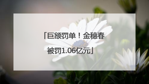 巨额罚单！金穗春被罚1.06亿元