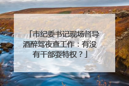 市纪委书记现场督导酒醉驾夜查工作：有没有干部耍特权？