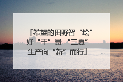 希望的田野智“绘”好“丰”景 “三夏”生产向“新”而行