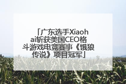 广东选手Xiaohai斩获美国CEO格斗游戏电竞赛事《饿狼传说》项目冠军