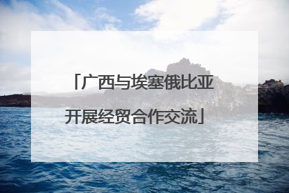 广西与埃塞俄比亚开展经贸合作交流