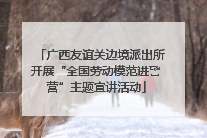 广西友谊关边境派出所开展“全国劳动模范进警营”主题宣讲活动