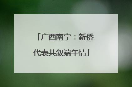 广西南宁：新侨代表共叙端午情