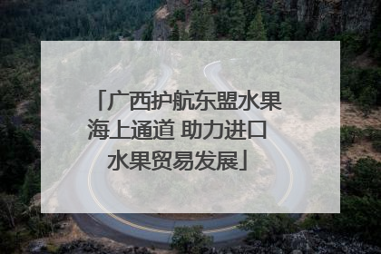 广西护航东盟水果海上通道 助力进口水果贸易发展