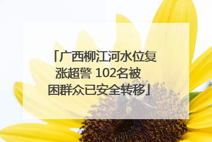 广西柳江河水位复涨超警 102名被困群众已安全转移