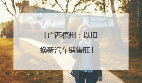 广西梧州：以旧换新汽车销售旺