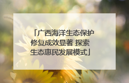 广西海洋生态保护修复成效显著 探索生态惠民发展模式
