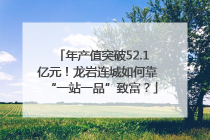 年产值突破52.1亿元！龙岩连城如何靠“一站一品”致富？