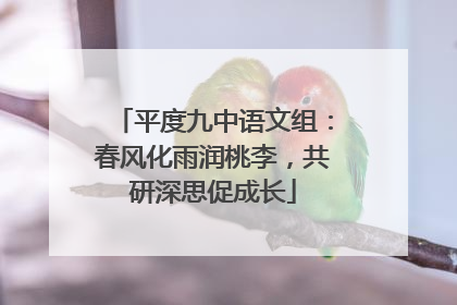 平度九中语文组：春风化雨润桃李，共研深思促成长