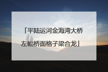 平陆运河金海湾大桥左幅桥面格子梁合龙