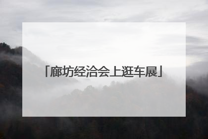廊坊经洽会上逛车展