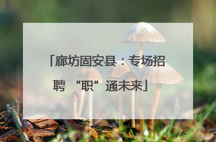 廊坊固安县：专场招聘 “职”通未来