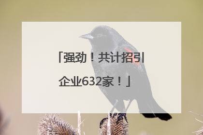 强劲！共计招引企业632家！