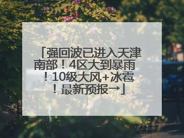 强回波已进入天津南部！4区大到暴雨！10级大风+冰雹！最新预报→