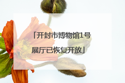 开封市博物馆1号展厅已恢复开放