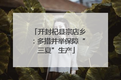 开封杞县宗店乡：多措并举保障“三夏”生产