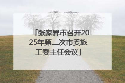 张家界市召开2025年第二次市委旅工委主任会议