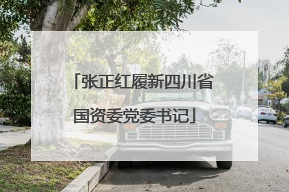 张正红履新四川省国资委党委书记