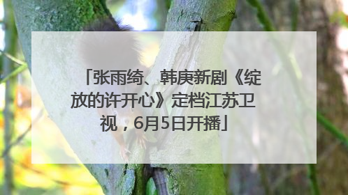 张雨绮、韩庚新剧《绽放的许开心》定档江苏卫视，6月5日开播
