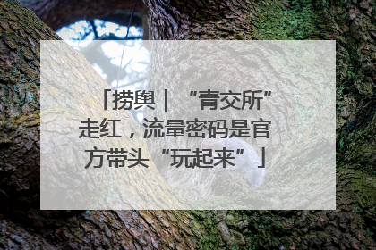 捞舆｜“青交所”走红，流量密码是官方带头“玩起来”