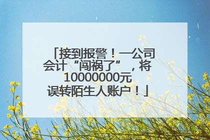 接到报警！一公司会计“闯祸了”，将10000000元误转陌生人账户！