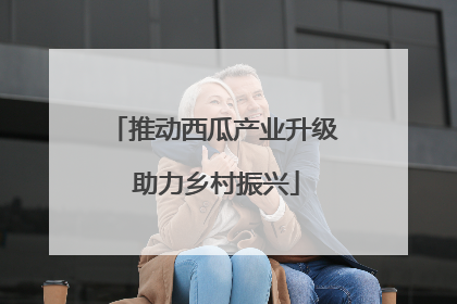 推动西瓜产业升级 助力乡村振兴