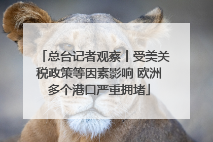 总台记者观察丨受美关税政策等因素影响 欧洲多个港口严重拥堵