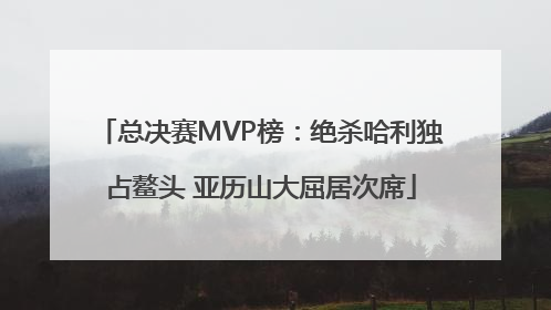 总决赛MVP榜：绝杀哈利独占鳌头 亚历山大屈居次席
