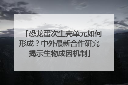 恐龙蛋次生壳单元如何形成？中外最新合作研究揭示生物成因机制