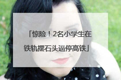 惊险！2名小学生在铁轨摆石头逼停高铁