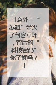 意外！“苏超”带火了句容草坪，背后的“科技密码”你了解吗？