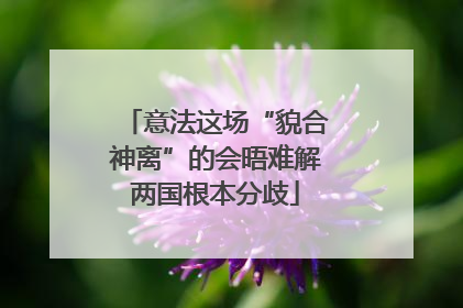 意法这场“貌合神离”的会晤难解两国根本分歧