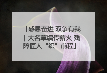 感恩奋进 双争有我｜大名草编传薪火 残障匠人“织”前程