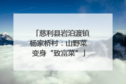 慈利县岩泊渡镇杨家桥村：山野菜变身“致富菜”