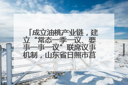 成立油桃产业链，建立“常态一季一议、要事一事一议”联席议事机制，山东省日照市莒县果庄镇——13个党小组“全周期”育果