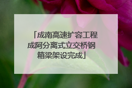 成南高速扩容工程成阿分离式立交桥钢箱梁架设完成