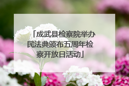 成武县检察院举办民法典颁布五周年检察开放日活动