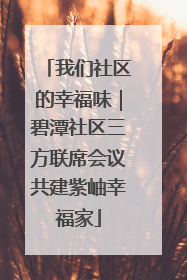 我们社区的幸福味｜碧潭社区三方联席会议共建紫岫幸福家