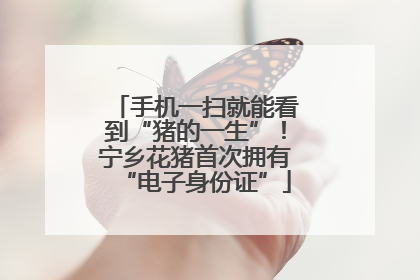 手机一扫就能看到“猪的一生”！宁乡花猪首次拥有“电子身份证”
