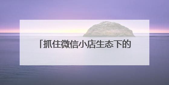 抓住微信小店生态下的推客“躺赚”新机遇