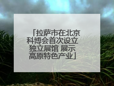 拉萨市在北京科博会首次设立独立展馆 展示高原特色产业
