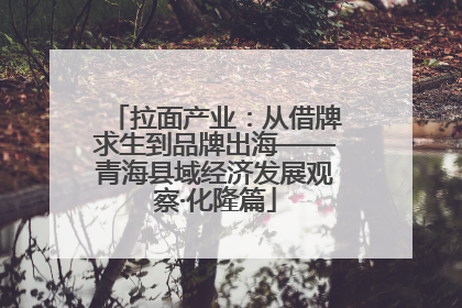 拉面产业：从借牌求生到品牌出海——青海县域经济发展观察·化隆篇