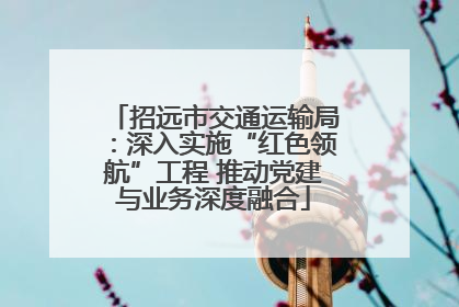 招远市交通运输局：深入实施“红色领航”工程 推动党建与业务深度融合