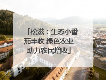 松滋：生态小番茄丰收 绿色农业助力农民增收
