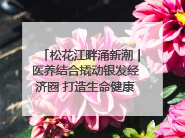 松花江畔涌新潮｜医养结合撬动银发经济圈 打造生命健康产业新样本